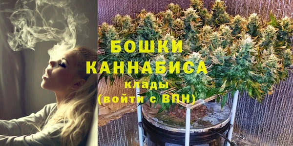 гидропоника Алзамай