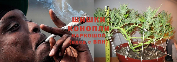 гидропоника Алзамай