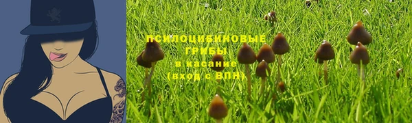 гидропоника Алзамай