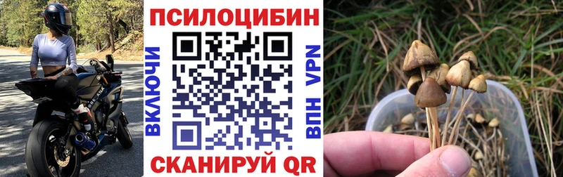 Галлюциногенные грибы мухоморы  KRAKEN вход  Мензелинск 